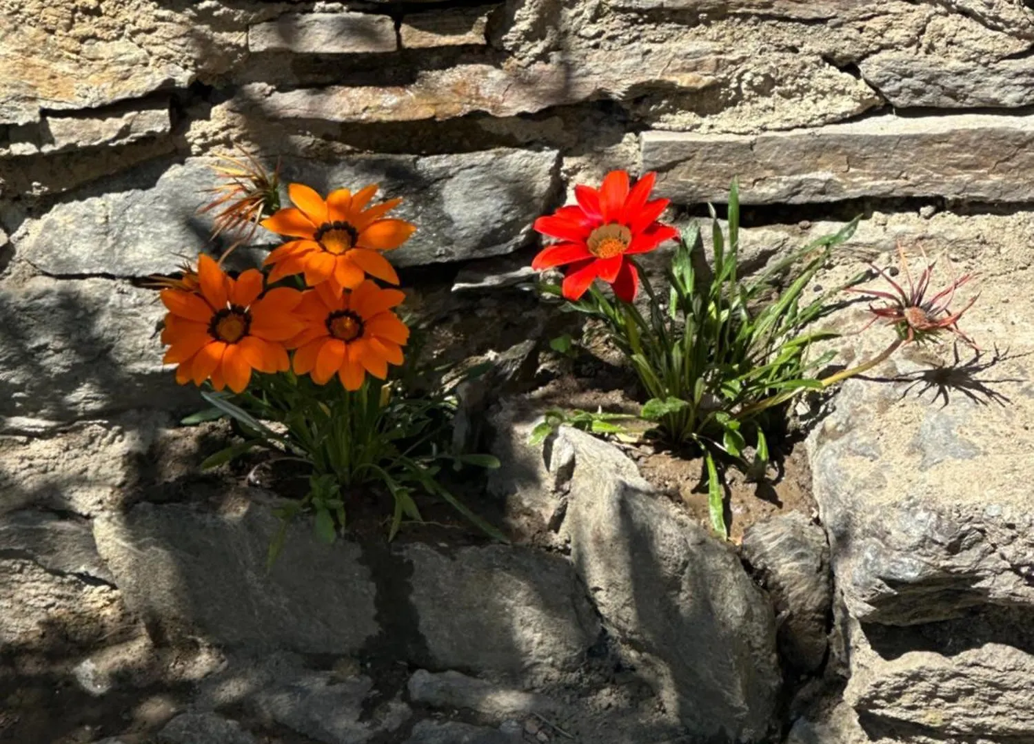 Country house Casa Vacanze Roncaiola Tirano