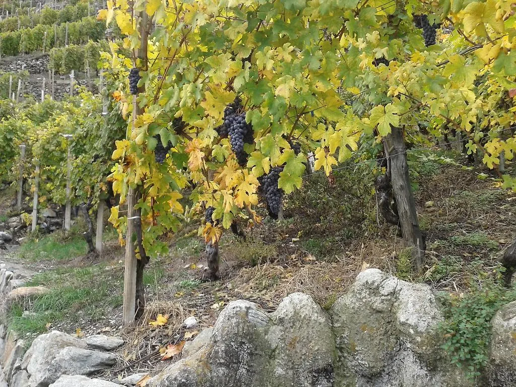 Country house Casa Vacanze Roncaiola Tirano Italy